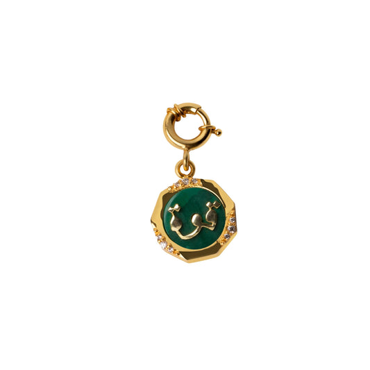 Power Malachite studded Charm